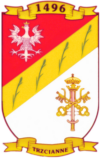 Herb Gminy Trzcianne